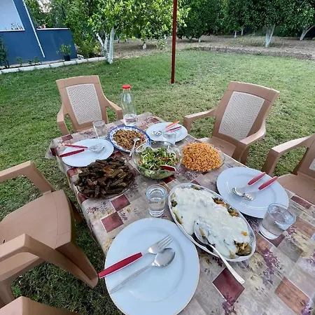 Gokova Home's Mustakil *