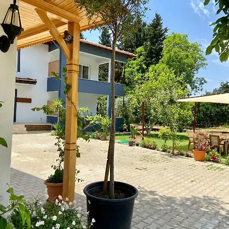 Gokova Home's Mustakil